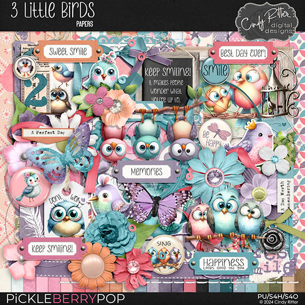 3 Little Birds [Kit] by Cindy Ritter 