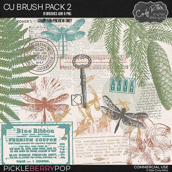 CU Brush Pack 2 by Cindy Ritter