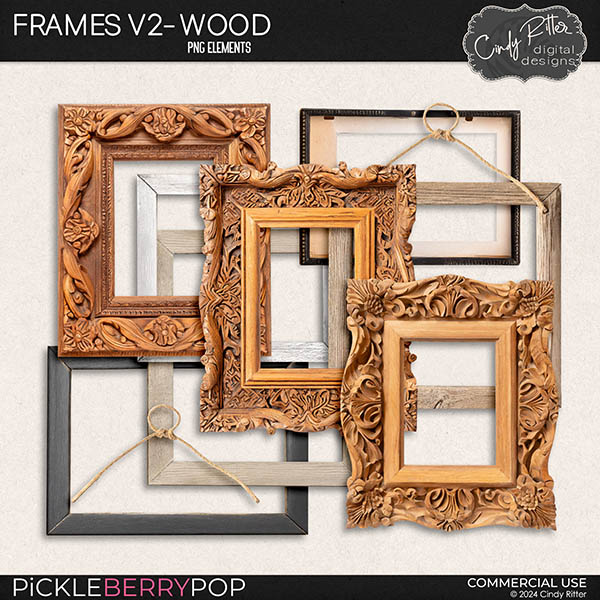 Frames V2 by Cindy Ritter [CU] 