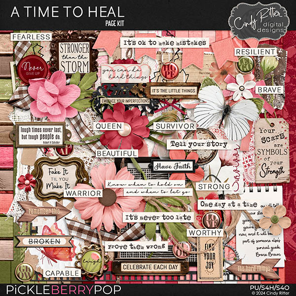 A Time To Heal [Kit] by Cindy Ritter