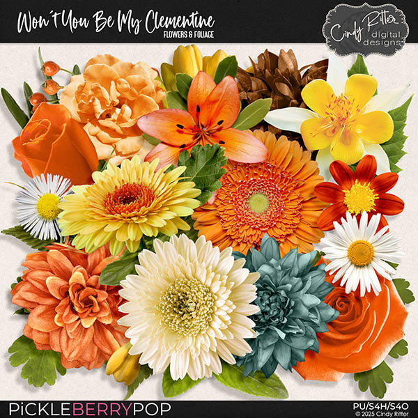 Won't You Be My Clementine [Flowers and Foliage] by Cindy Ritter