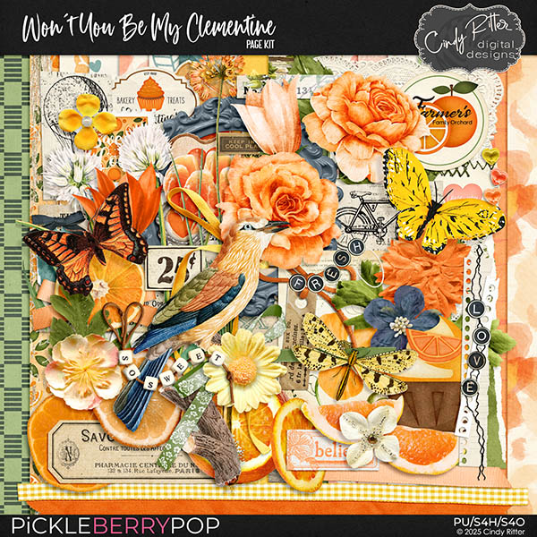 Won't You Be My Clementine [Kit] by Cindy Ritter