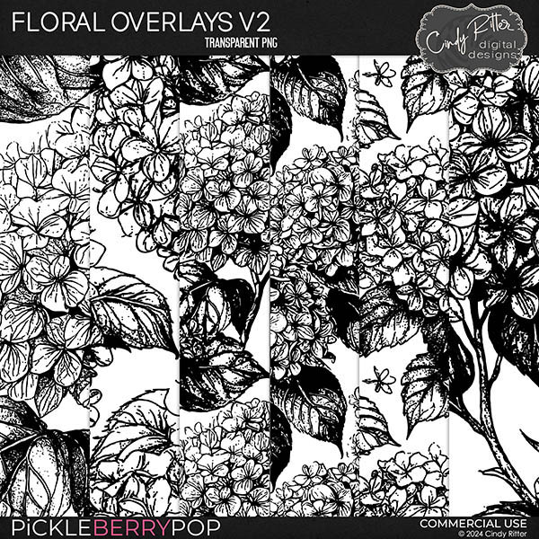 Floral Overlays V2 [CU] by Cindy Ritter 