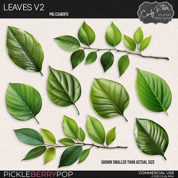 Leaves V2 [CU] by Cindy Ritter