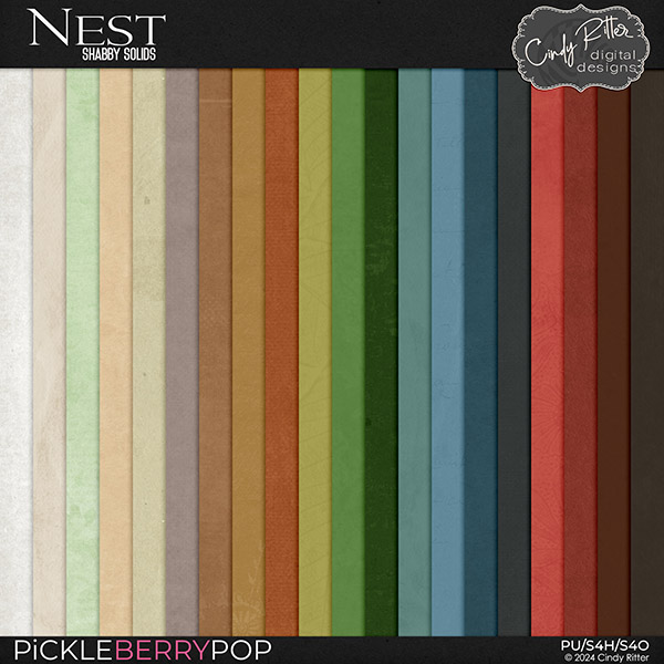 Nest [Shabby Solids] by Cindy Ritter