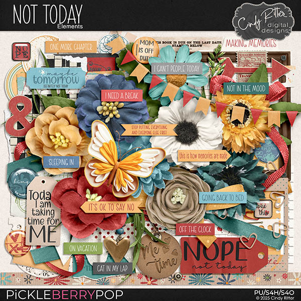 Not Today [Elements] by Cindy Ritter 