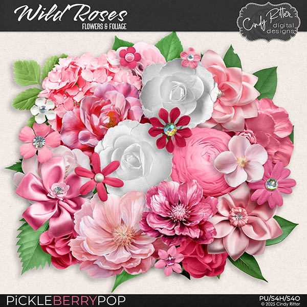 Wild Roses [Flowers & Foliage] by Cindy Ritter 