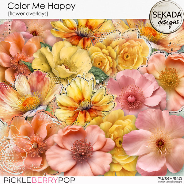 Color Me Happy [flower overlays] by Sekada Designs   