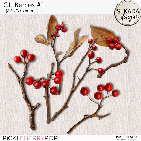 CU berries #1 by Sekada Designs 