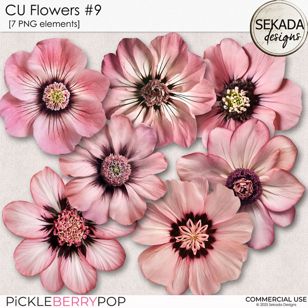 CU flowers #9 by Sekada Designs 