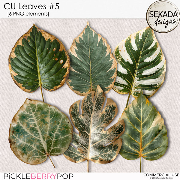 CU leaves #5 by Sekada Designs