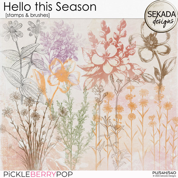 Hello this Season [stamps & brushes] by Sekada Designs