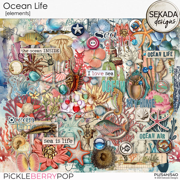 Ocean Life [elements] by Sekada Designs  