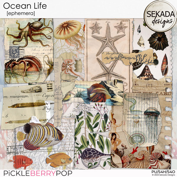 Ocean Life [ephemera] by Sekada Designs