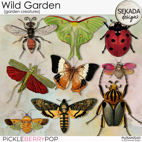 Wild Garden [garden creatures] by Sekada Designs