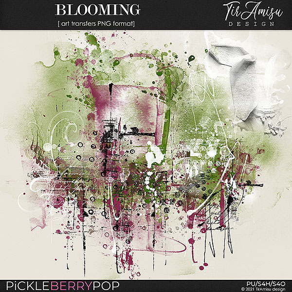 Blooming ~ art transfers 