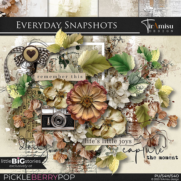 Everyday Snapshots:LittlleBiGStories by TirAmisu design 