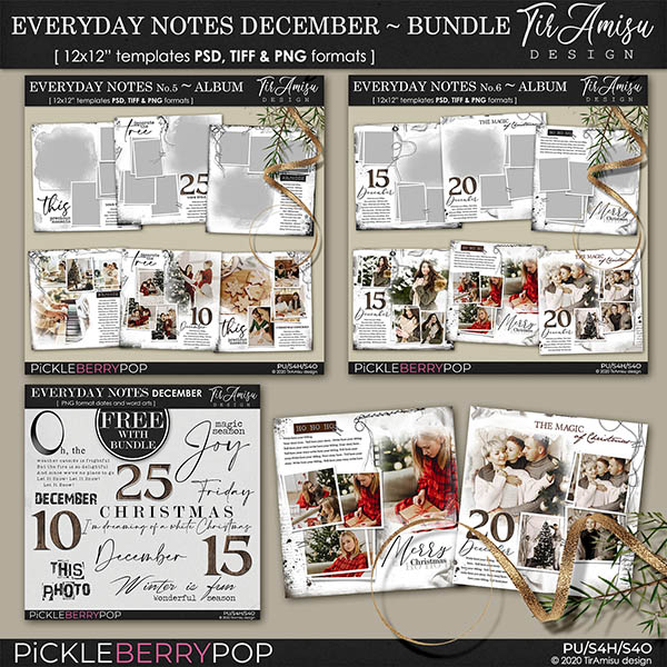 Everyday Notes Templates ~December Bundle by TirAmisu design 