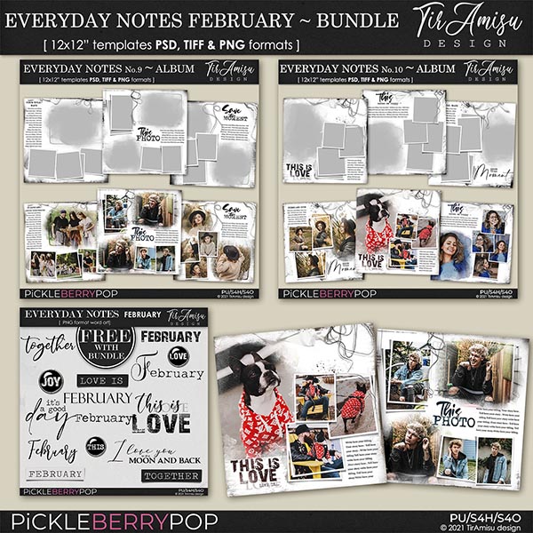 Everyday Notes February Bundle ~ Templates