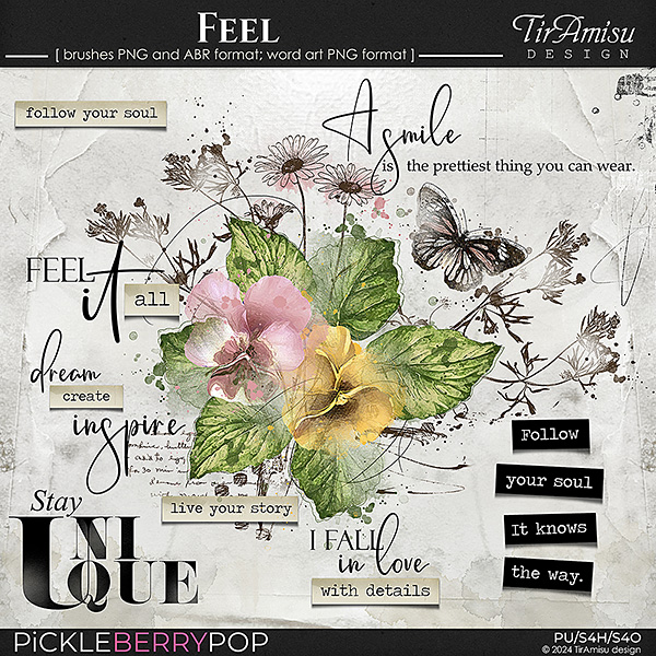 Feel ~ art brushes and word art by TirAmisu design