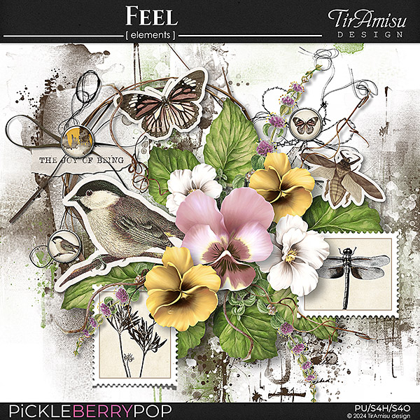 Feel ~ Basic Kit by TirAmisu design