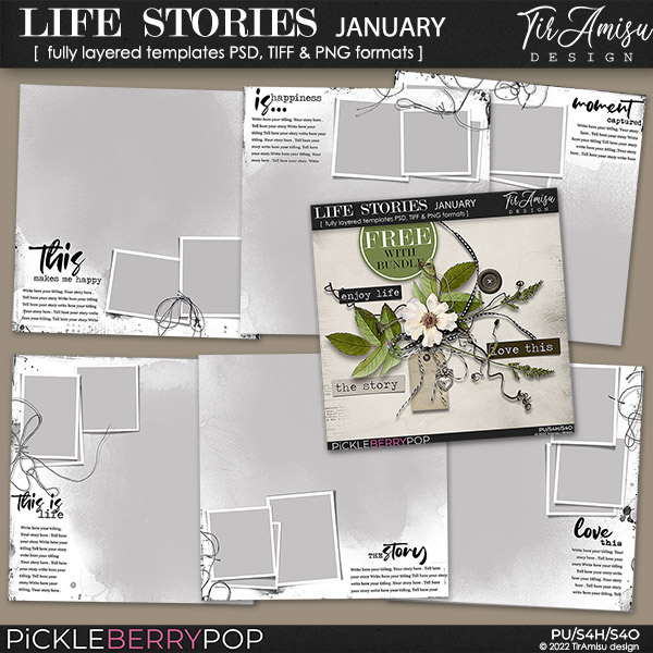 Life Stories Templates January 2022