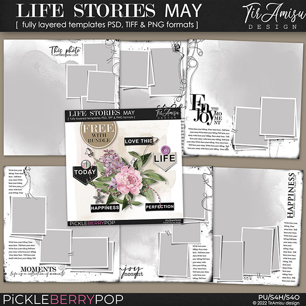 Life Stories Templates May 2022