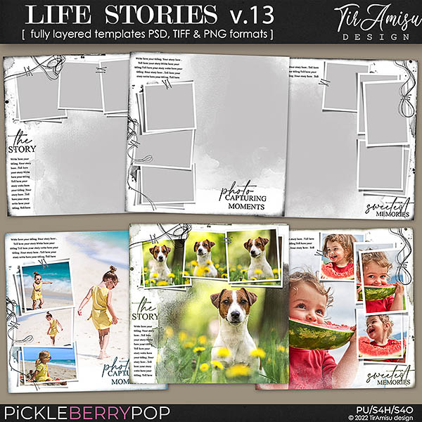 Life Stories  Templates vol.13