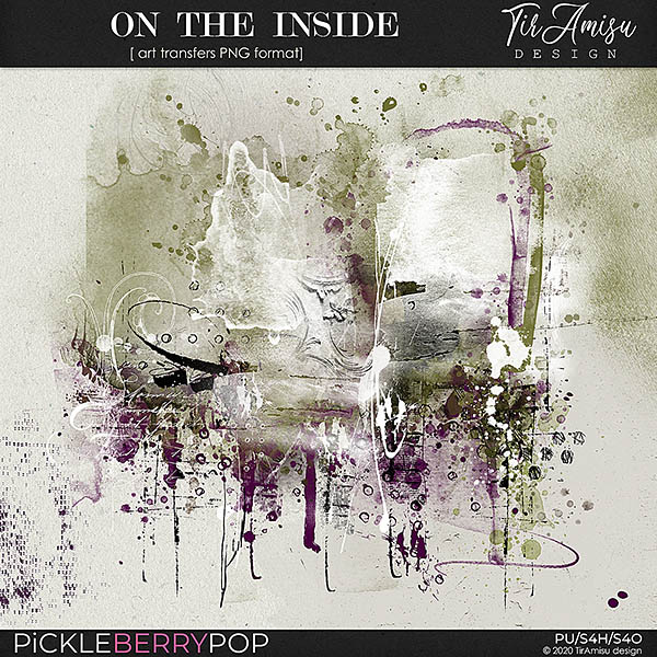 On The Inside ~ art transfers by TirAmisu design 