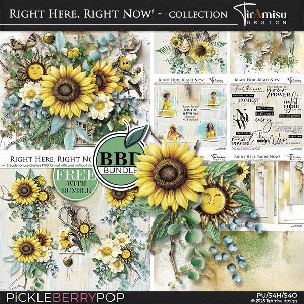 Right Here, Right Now! Bundle by TirAmisu design