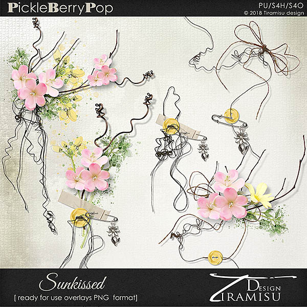 Sunkissed ~ ready for use overlays by Tiramisu design