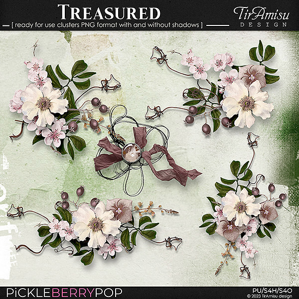 Treasured~ Ready For Use Clusters