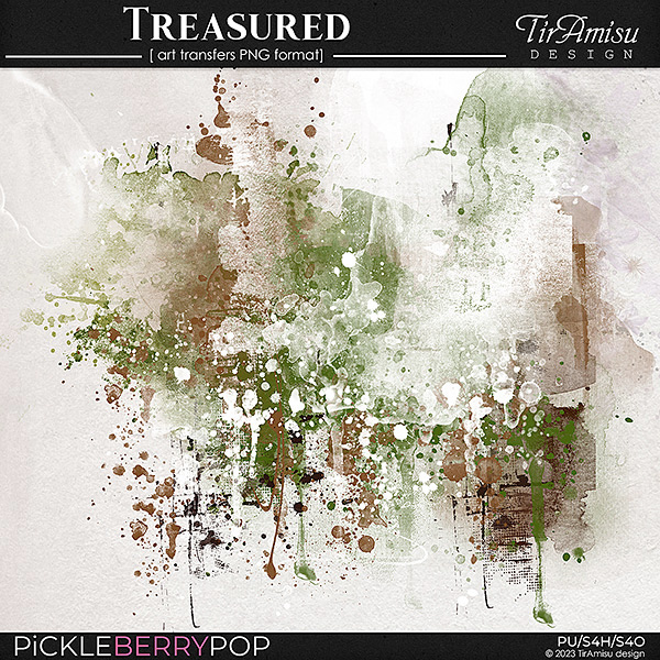 Treasured ~ art transfers