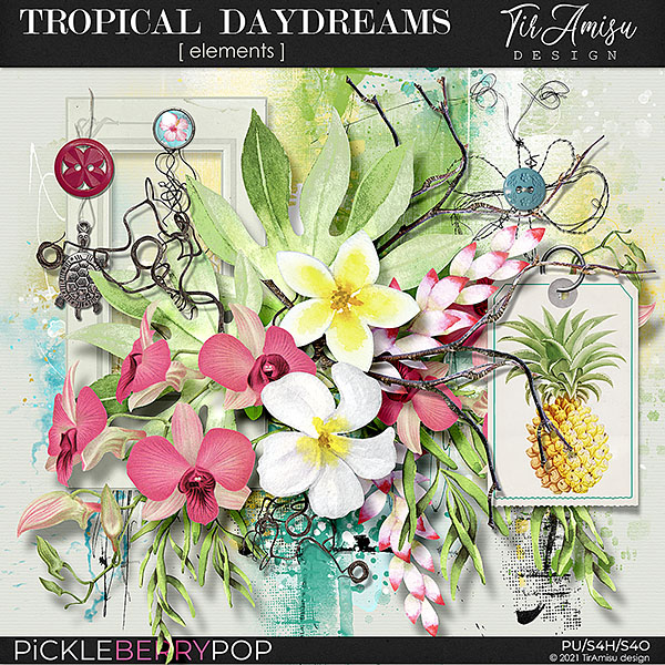 Tropical Daydreams ~ Basic Kit 