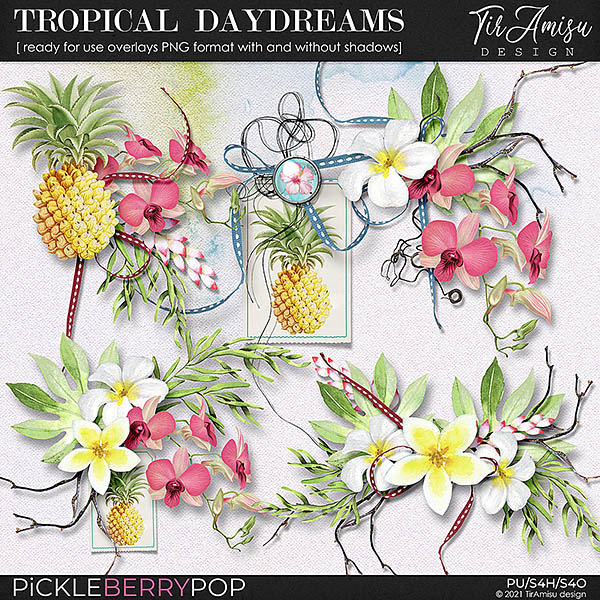Tropical Daydreams ~ Ready For Use Clusters