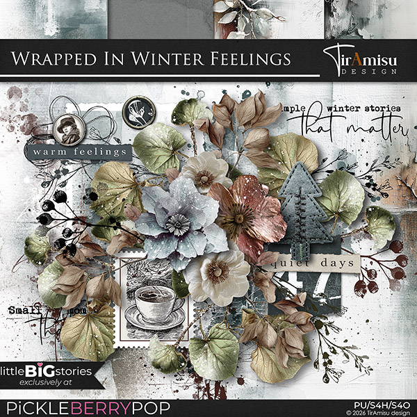 Wrapped In Winter Feelings: littlleBiGStories by TirAmisu design