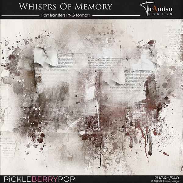 Whispers Of Memory ~ art transfers 