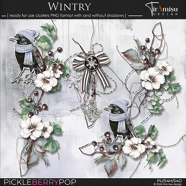 Wintry ~ Ready For Use Clusters 