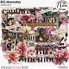 BIG Memories - Elements - by Neia Scraps