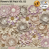 Flowers BIG Pack VOL02 - CU - by Neia Scraps