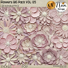 Flowers BIG Pack VOL05 - CU - by Neia Scraps