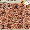 Flowers BIG Pack VOL06 - CU - by Neia Scraps 