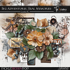 Big Adventures. Real Memories ~ Basic Kit by TirAmisu design