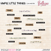 SIMPLE LITTLE THINGS | journal bits by Bellisae