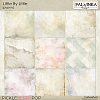 Little By Little Papers