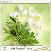 CU Flowers Vol.13 (Jasmin-Olya Designs)