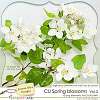 CU Spring Blossoms Vol.3 - apples (Jasmin-Olya Designs)