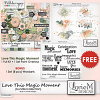 Love This Magic Moment Bundle/Collection with FWP