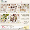 Elegant bundle #1 (Jasmin-Olya Designs)