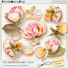 CU Dried flowers Vol.3 (Jasmin-Olya Designs)